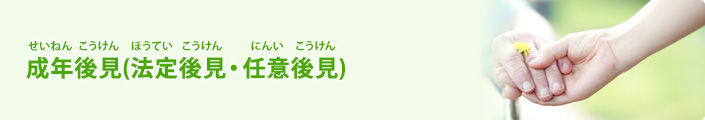 成年後見(法定後見・任意後見)